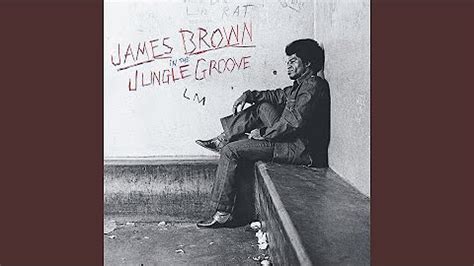 James Brown's influence