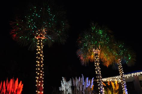 A festive holiday village at James Island County Park