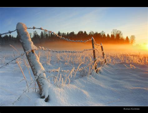 January Landscape