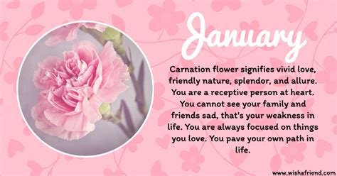 january birth flower carnation