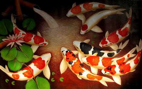 Description of Japanese Koi Fish