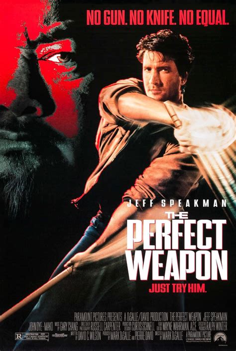 Jeff Speakman in The Perfect Weapon