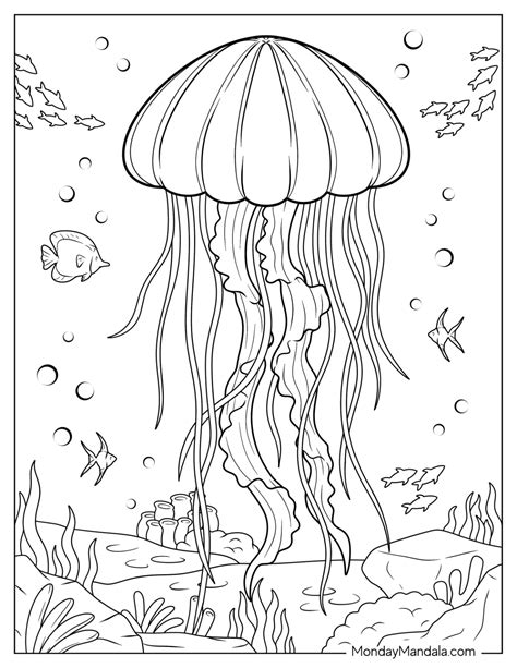 A variety of jellyfish coloring pages to print