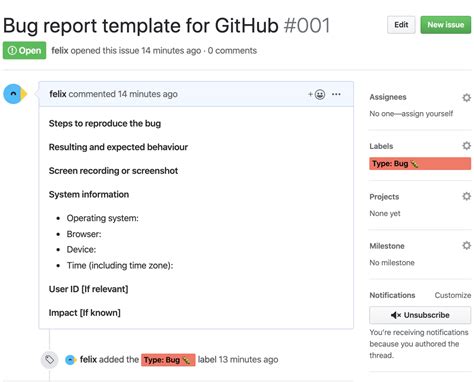 Jira Bug Report Template Example