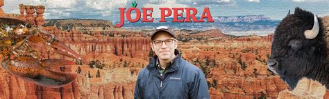 Joe Pera's Approach to Storytelling