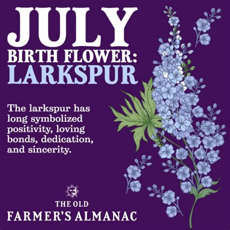 July birth flower meaning and symbolism