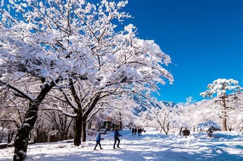 June weather in Korea