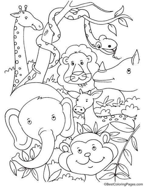 Jungle animals coloring pages