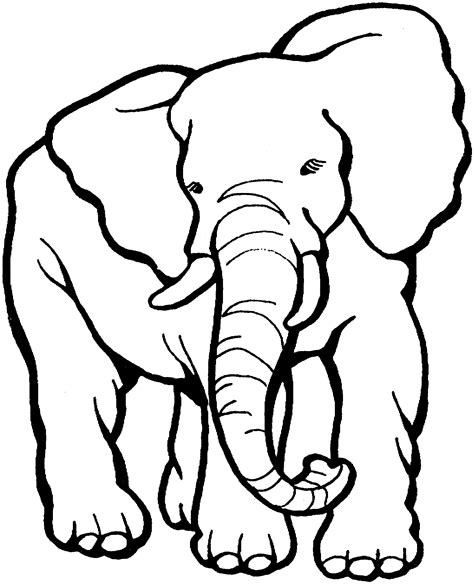 Jungle elephant coloring pages