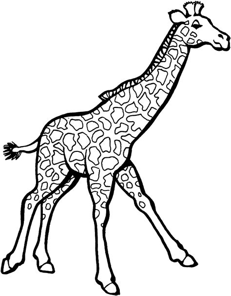 Jungle giraffe coloring pages