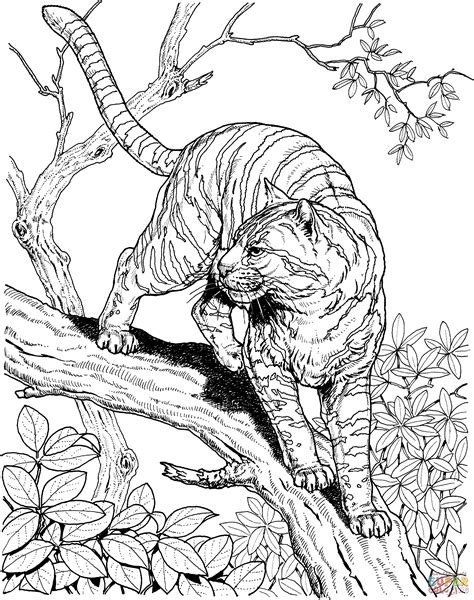 Jungle tiger coloring pages