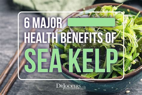 Kelp and human health