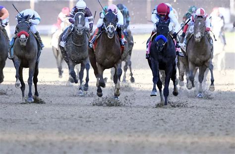 Kentucky Derby Horses