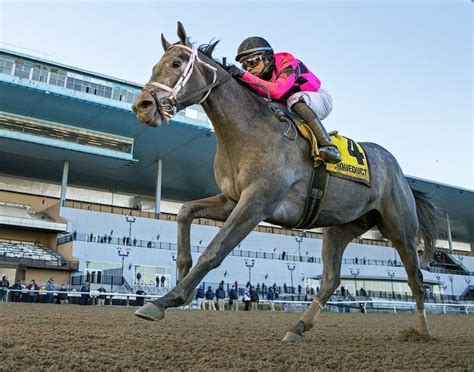 Kentucky Derby trainer and jockey statistics chart