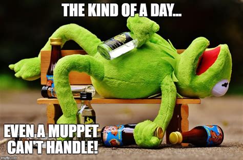 Kermit Muppet Meme