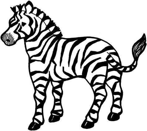 Kids coloring pages zebras