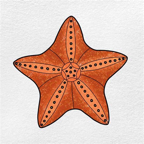 Kids drawing picture of starfish