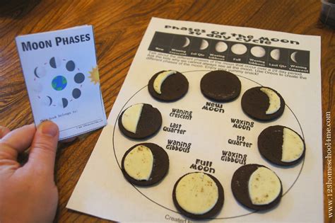 Kids Moon Phases Activity Image