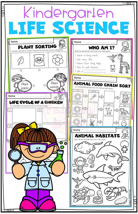 Kindergarten Science Worksheets Example 4