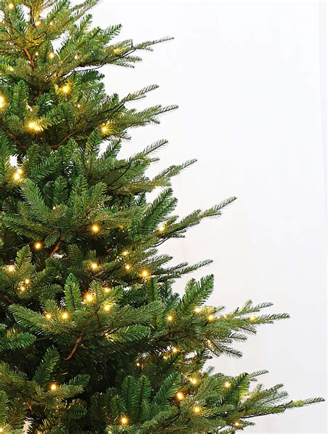 King of Christmas Rocky Mountain Fir Artificial Christmas Tree