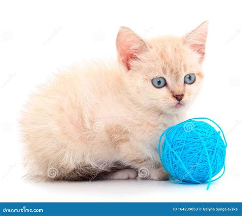 Kitten with ball of yarn