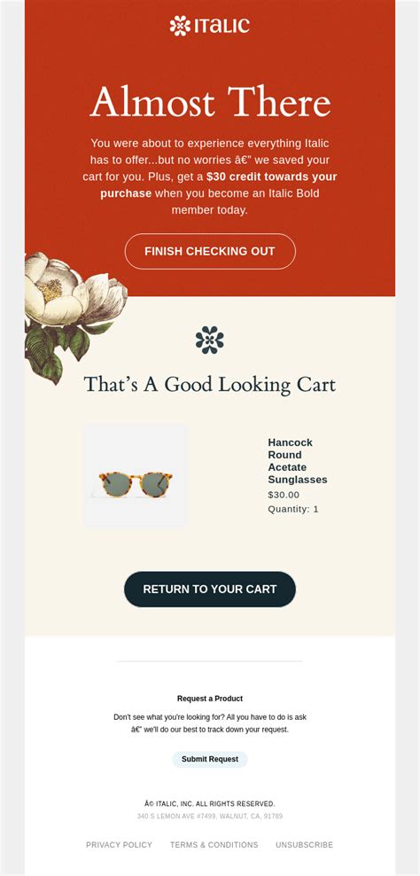 Klaviyo Abandoned Cart Email Template That Converts