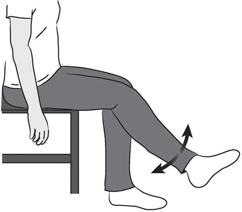 Knee Replacement Exercises Image 10