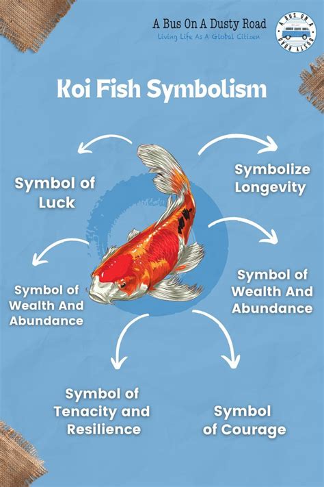 Description of Koi Fish Symbolism