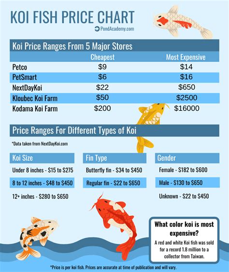 Koi value and market trends