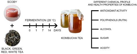 Kombucha tea for antioxidant activity