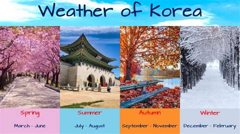 Korea weather in June