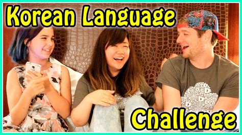 Korean language learning challenges