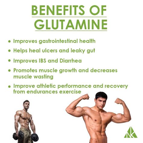 L-Glutamine and Muscle Growth