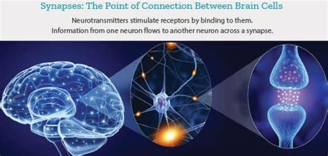 Importance of L-Threonate