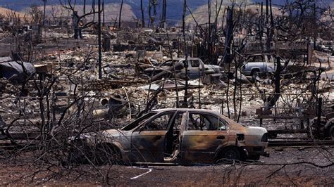 LA Wildfires Recovery Efforts