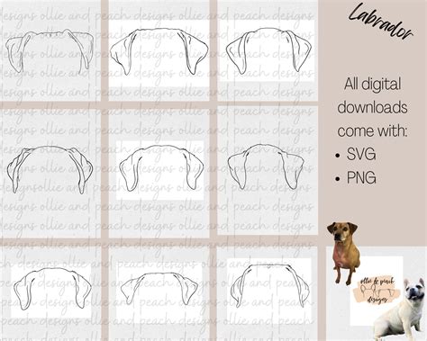 Labrador Dog Ear Pattern