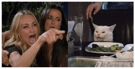 Lady Yelling At Cat Meme Explained