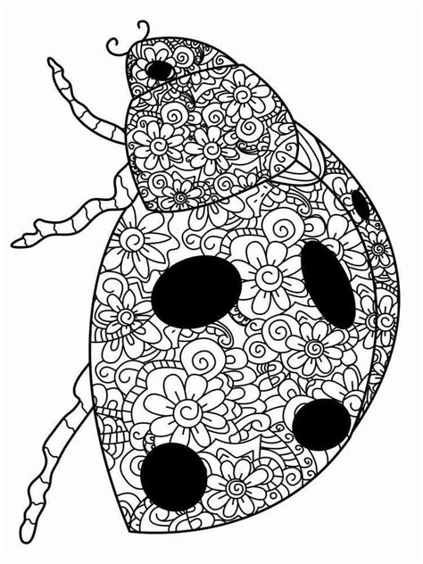 Ladybug coloring pages for adults