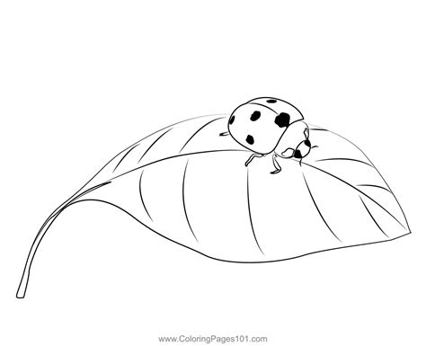 Ladybug on a Branch Coloring Page