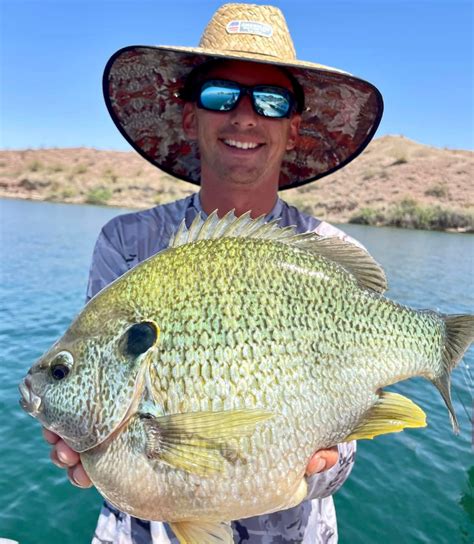 Fishing on Lake Havasu