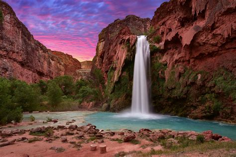 Nature in Lake Havasu