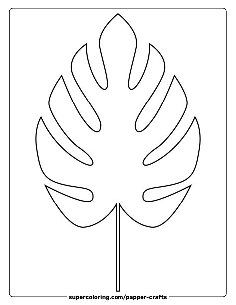 Laminated Monstera Leaf Outlines for Long-Lasting Use