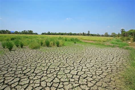 Land degradation from agricultural activities