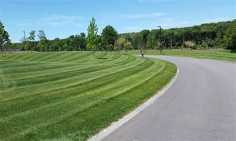 Landscaped Grounds at Brookwood Apartments