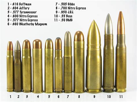 Large Caliber Rifle Gallery 1