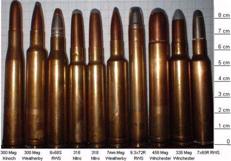 Large Caliber Rifle Mechanisms