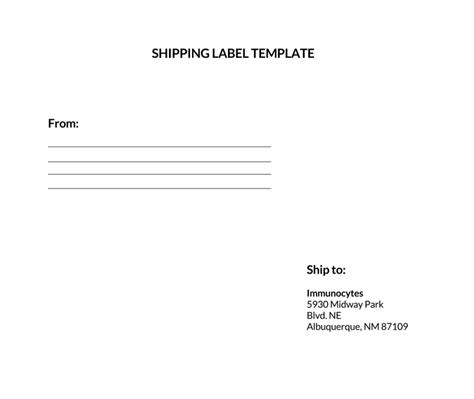 Large Shipping Label Template for Word Users