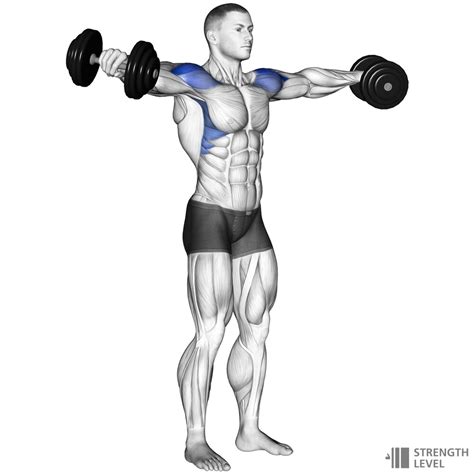 Lateral raises for shoulder strength