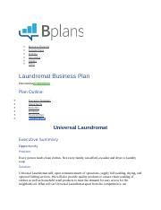 Laundromat Business Plan Template Docx