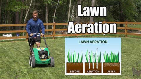 Lawn Aeration Tips